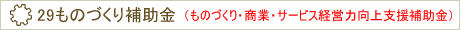 29ものづくり補助金(ものづくり・商業・サービス経営力向上支援補助金)