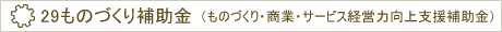 29ものづくり補助金(ものづくり・商業・サービス経営力向上支援補助金)