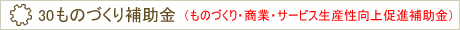 29ものづくり補助金(ものづくり・商業・サービス経営力向上支援補助金)